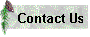 contactusicon10.gif (1859 bytes)