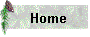 homeicon10.gif (1832 bytes)